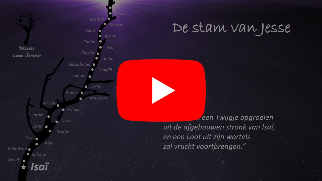 Stam van Jesse