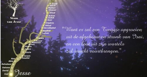 Stam van Jesse